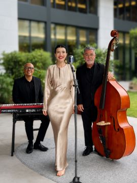 BLUEBERRY MOON MUSIC - Lisboa - Solo Musician Entertainment