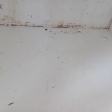 Flavia - Amadora - Limpeza de Espaço Comercial
