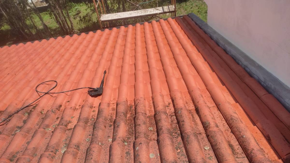 Pgserviços - Ponte da Barca - Shrub Removal