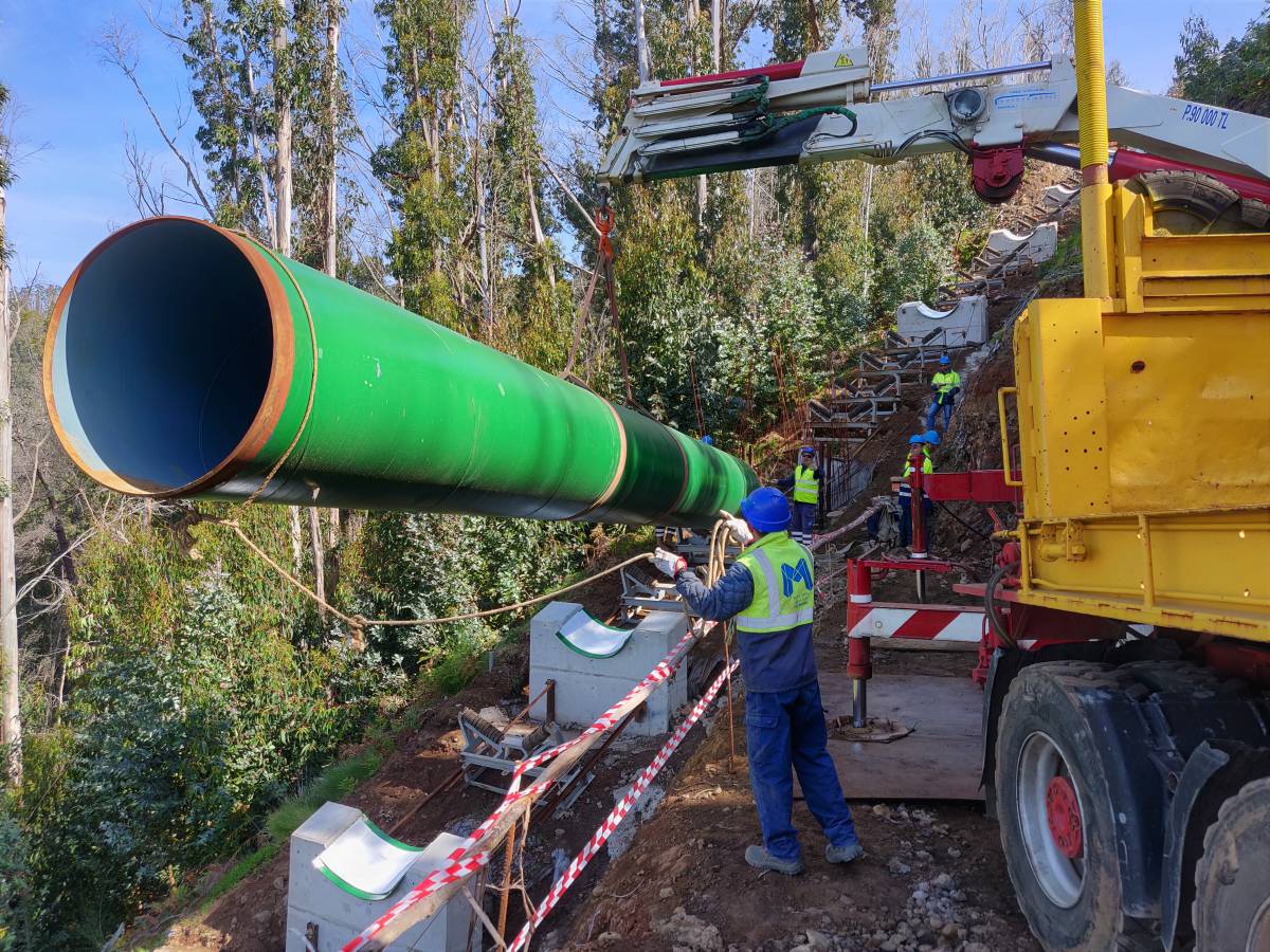NJ - Engenharia, Design e Remodelações - Funchal - Suspensão de Quadros e Instalação de Arte