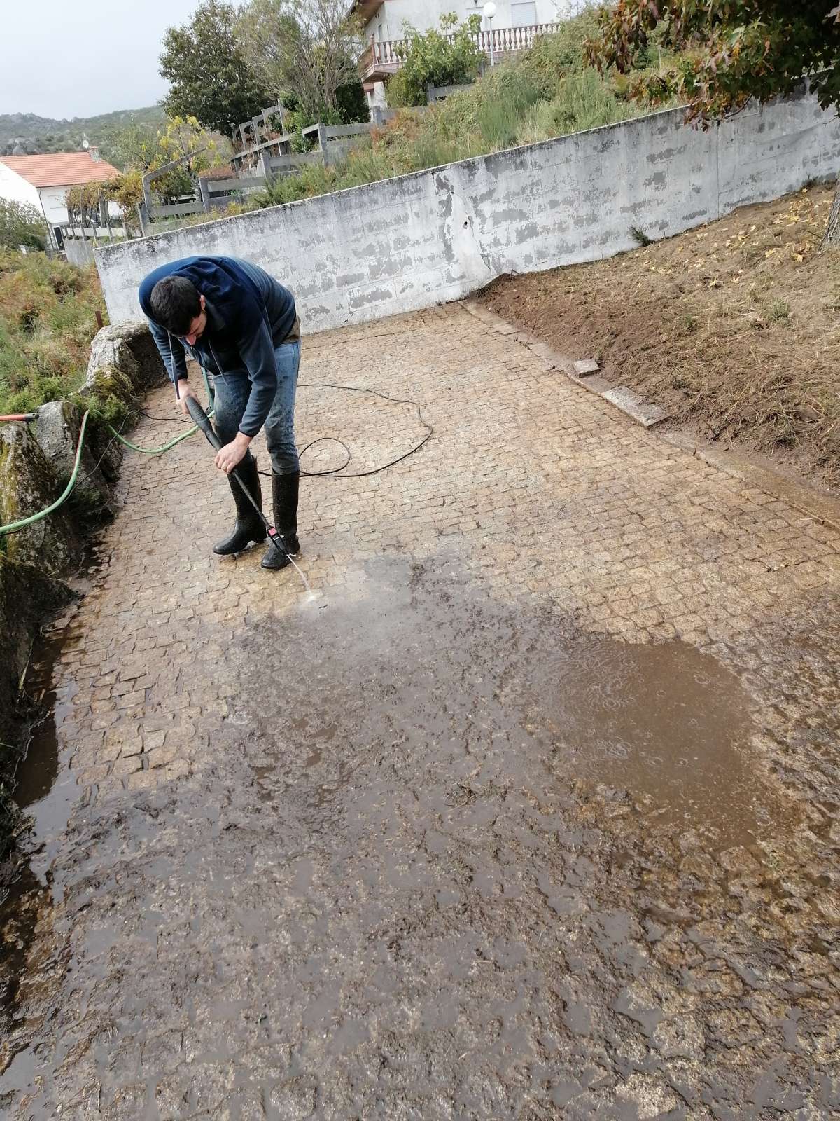 Pgserviços - Ponte da Barca - Poda e Manutenção de Árvores