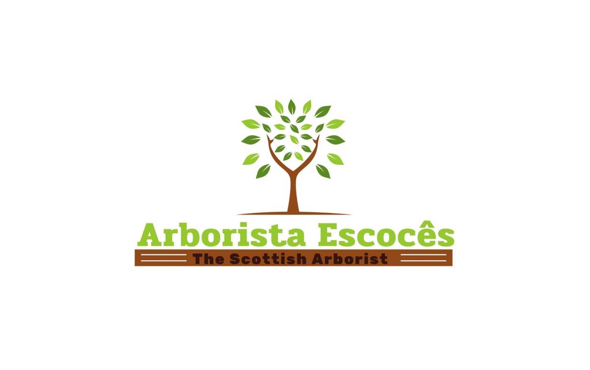 Scottish Arborist - Figueira da Foz - Remoção de Tronco de Árvore