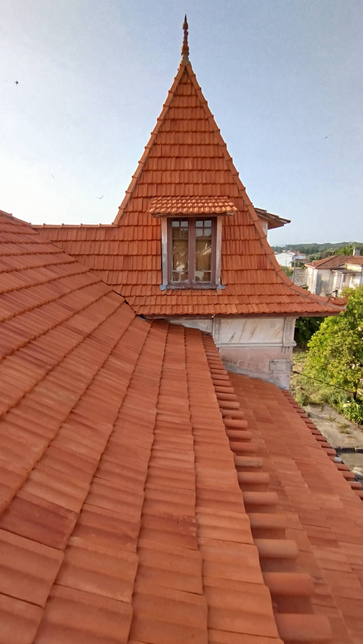 Tavares - Coimbra - Painting
