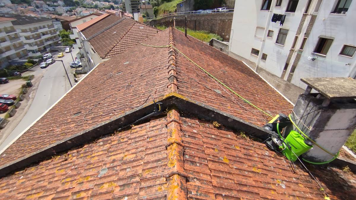 Tavares - Coimbra - Gelegenheitsarbeit-Dienst