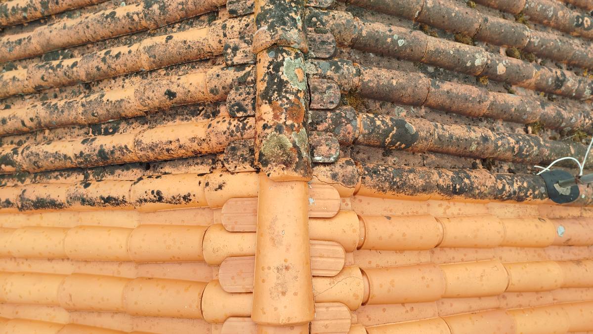 Tavares - Coimbra - Innenanstrich