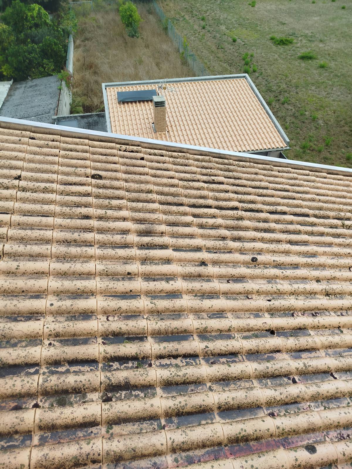 Tavares - Coimbra - Generalunternehmer