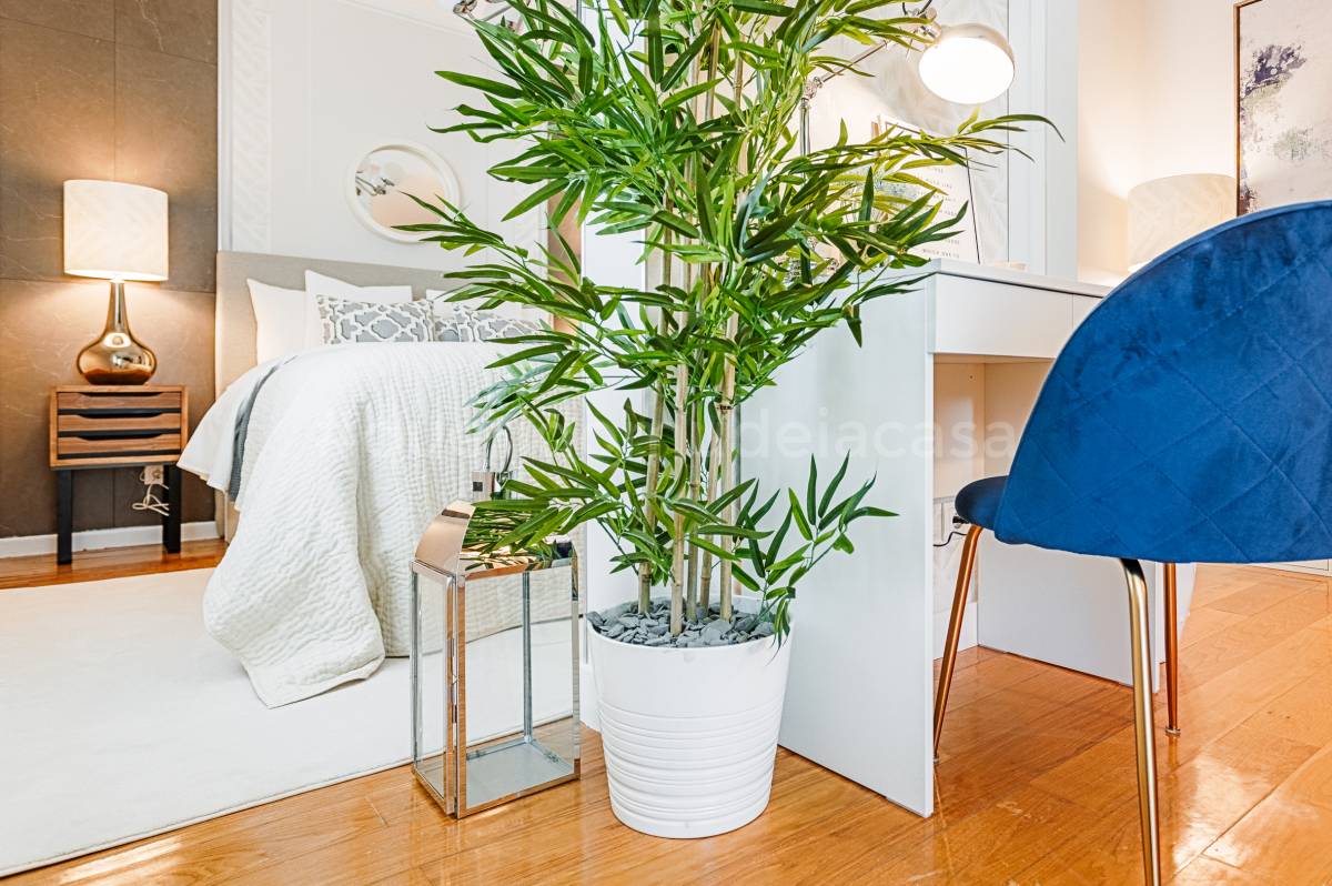 Rodolfo Galvão Home Stylist - Lisboa - Home Staging