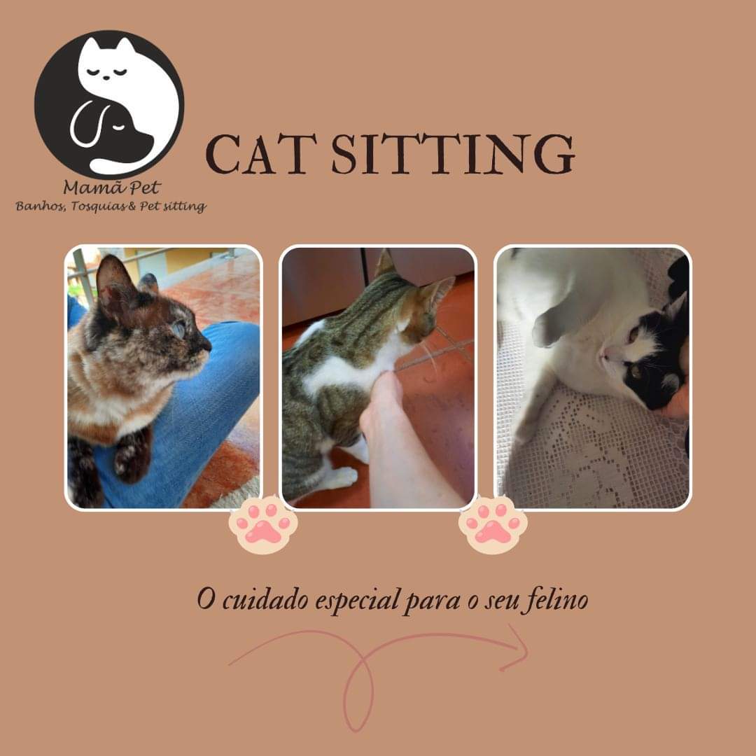 Mamã Pet - Leiria - Cuidar tus gatos
