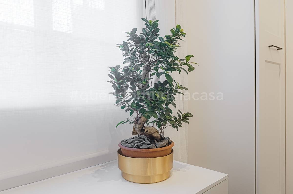 Rodolfo Galvão Home Stylist - Lisboa - Home Staging