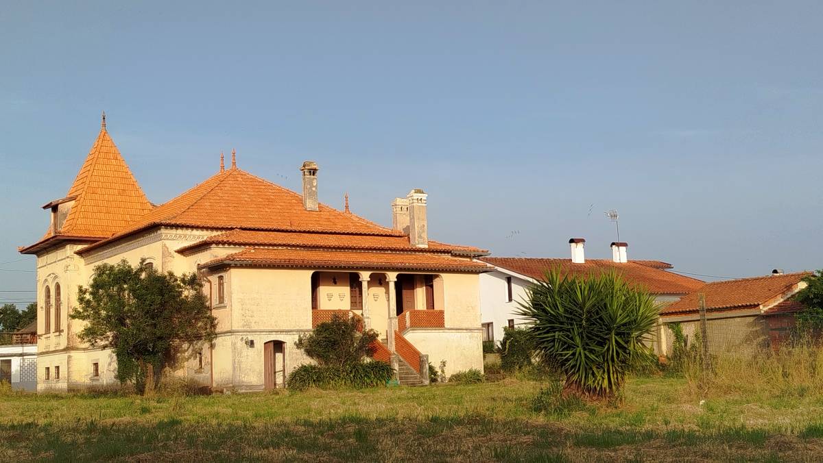 Tavares - Coimbra - Roof Repair or Maintenance