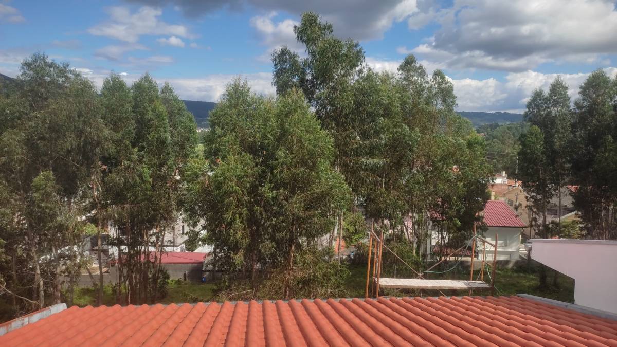Pgserviços - Ponte da Barca - Tree Trimming and Maintenance