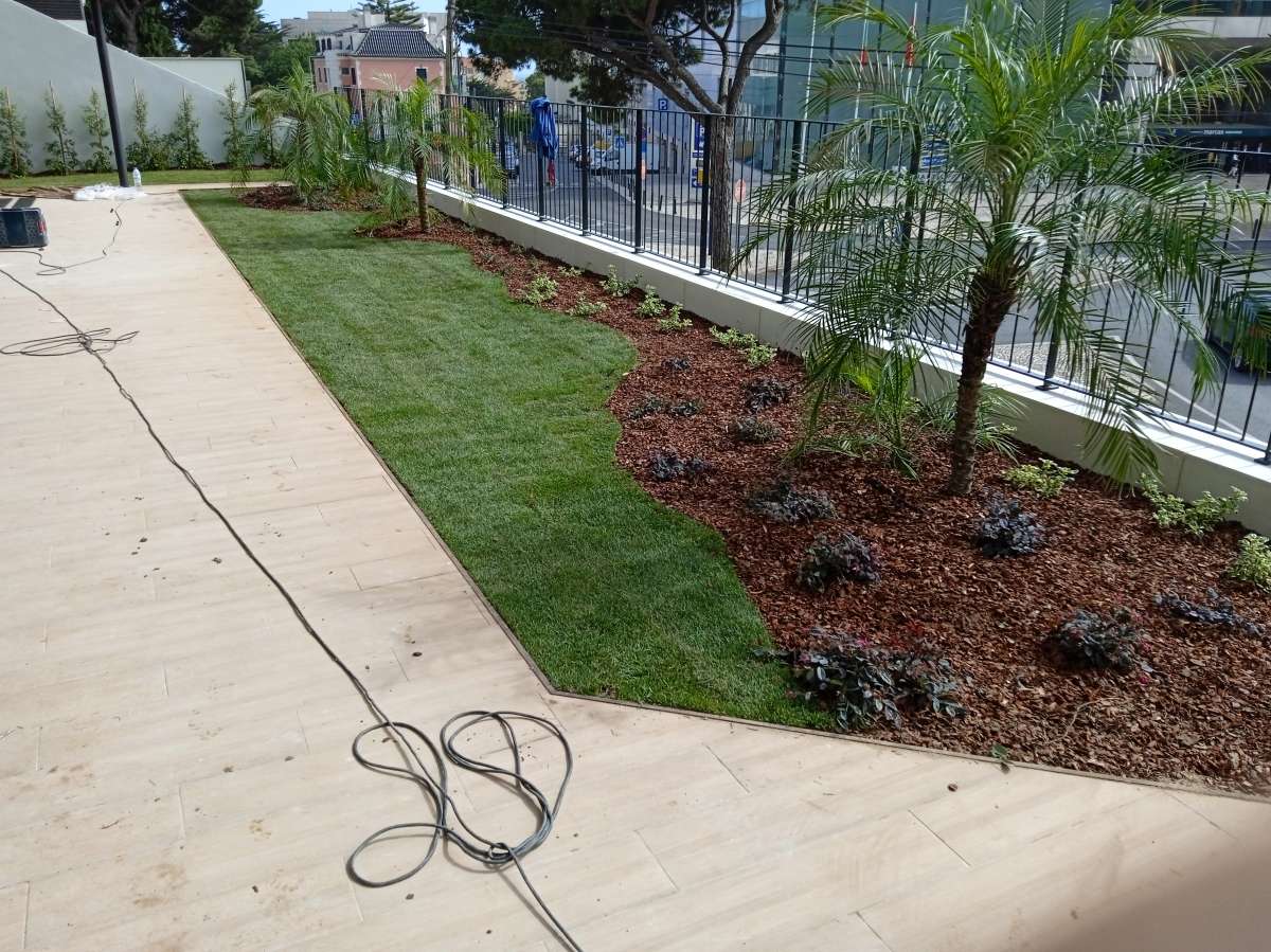 Rivaldo oliveira - Cascais - Shrub Removal