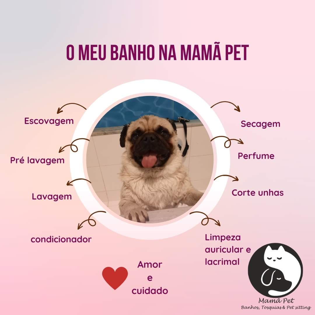 Mamã Pet - Leiria - Paseador de perros