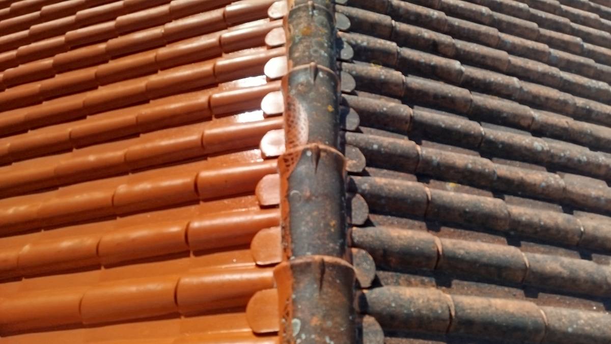 Tavares - Coimbra - Maler