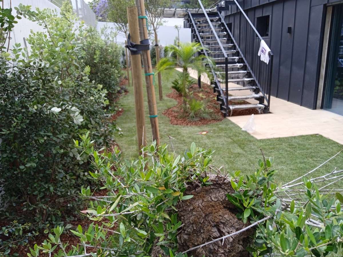Rivaldo oliveira - Cascais - Tree Stump Grinding and Removal