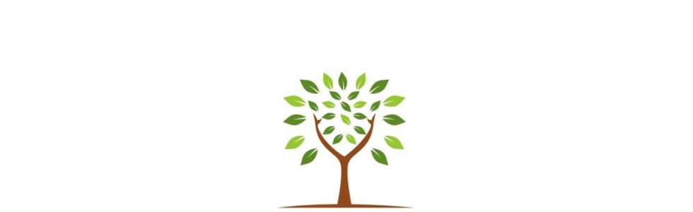 Scottish Arborist - Figueira da Foz - Poda e Manutenção de Árvores