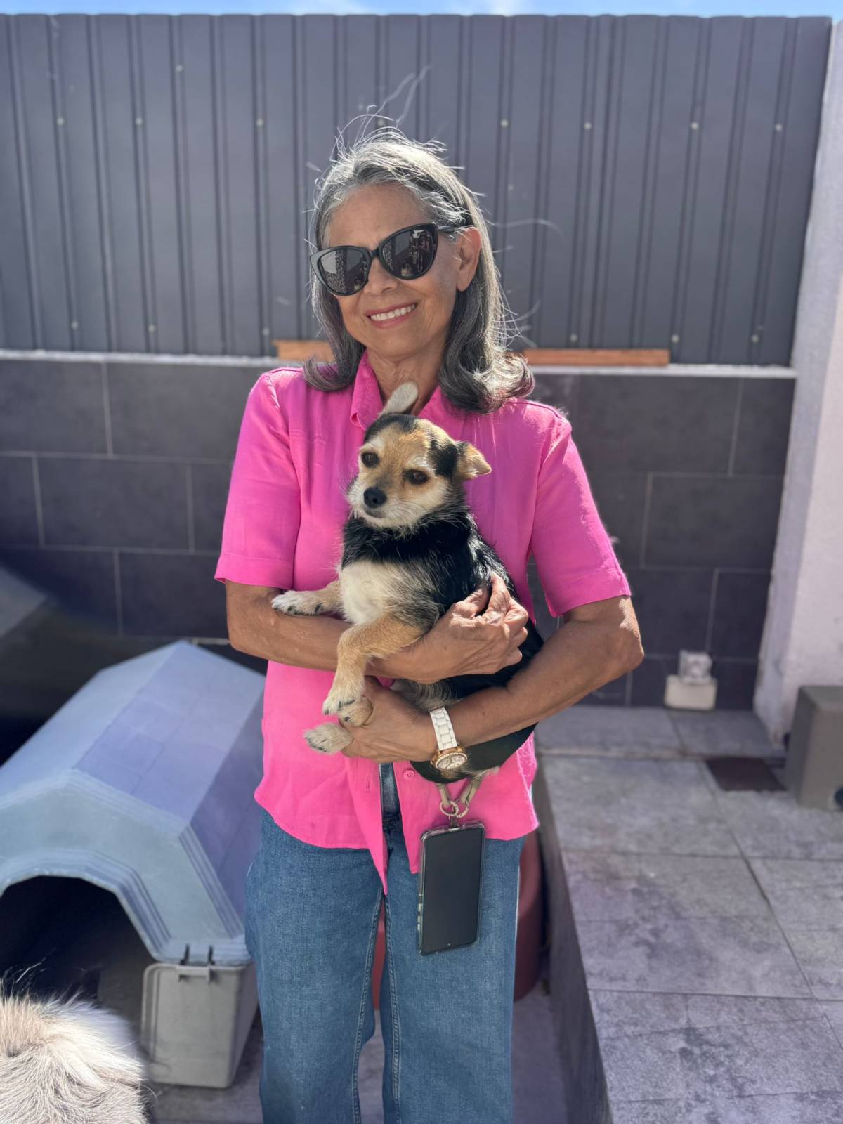 Neide Rodrigues Santos - Lisboa - Bains et toilettage pour animaux