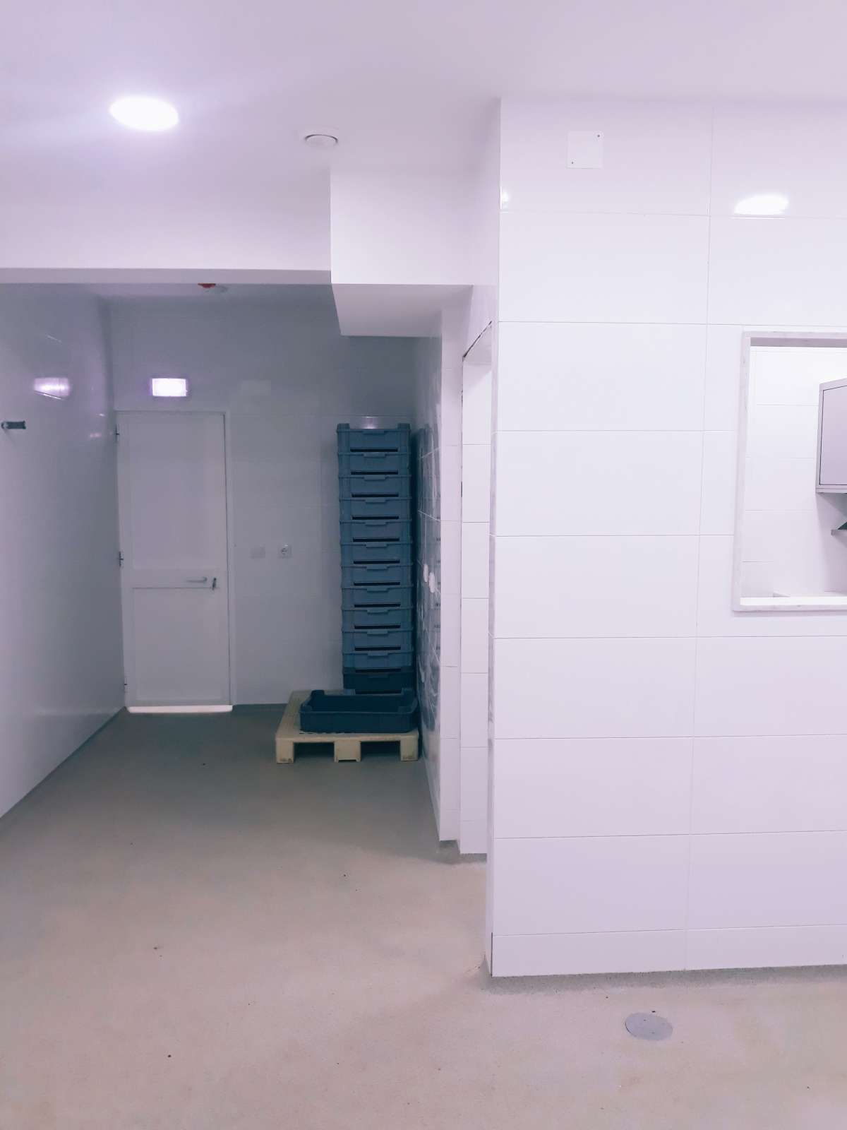Ricardo Rocha - Oeiras - Insulation