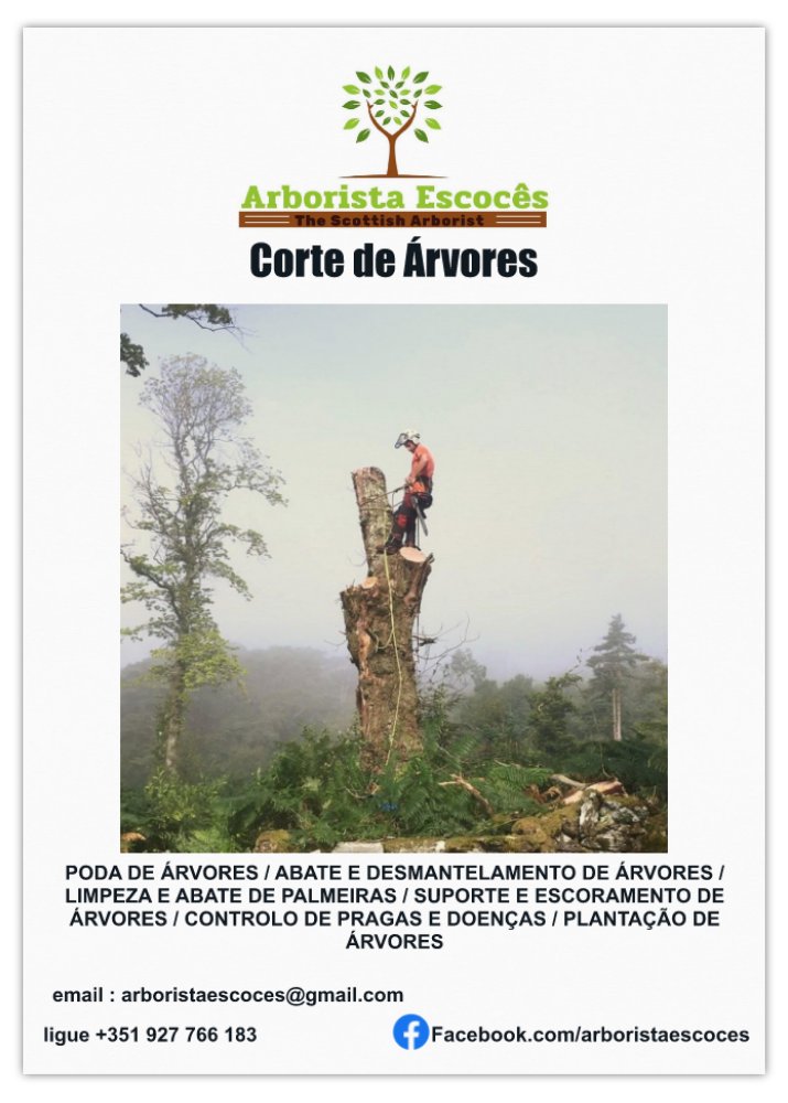 Scottish Arborist - Penacova - Enlèvement de souches d’arbres