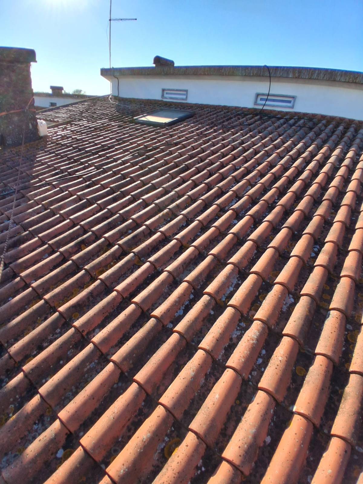 Roof Repair or Maintenance - Roofing