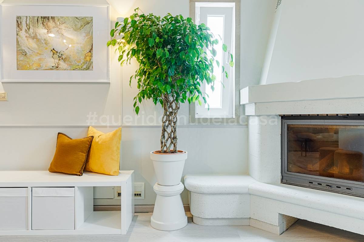 Rodolfo Galvão Home Stylist - Lisboa - Suspensão de Quadros e Instalação de Arte