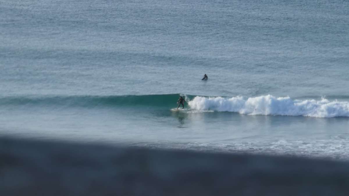 Nelson Ribeiro - Marinha Grande - Defesa Pessoal