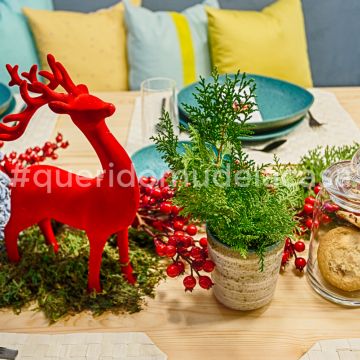 Rodolfo Galvão Home Stylist - Lisboa - Designer de Interiores