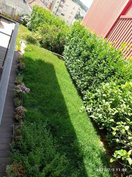 Gardening