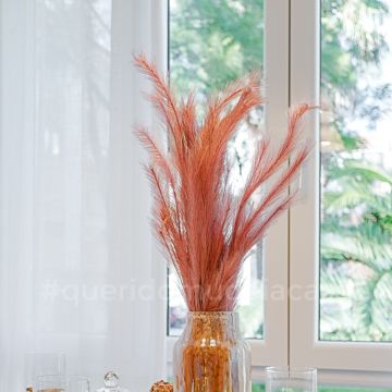 Rodolfo Galvão Home Stylist - Lisboa - Muralista