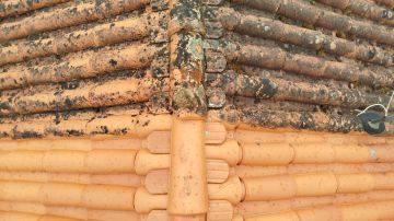 Tavares - Coimbra - Innenanstrich