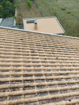 Tavares - Coimbra - Generalunternehmer