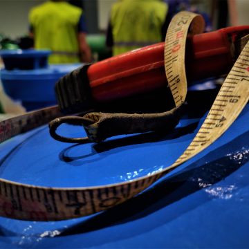 NJ - Engenharia, Design e Remodelações - Funchal - Montagem de Equipamento Desportivo