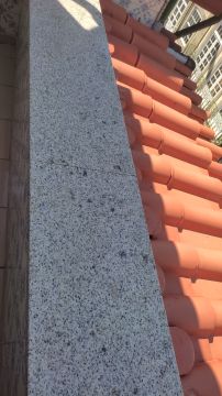 Pgserviços - Ponte da Barca - Tree Stump Grinding and Removal