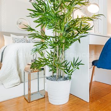 Rodolfo Galvão Home Stylist - Lisboa - Home Staging
