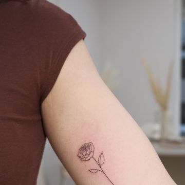 LUMI atelier - Mafra - Hautreinigung