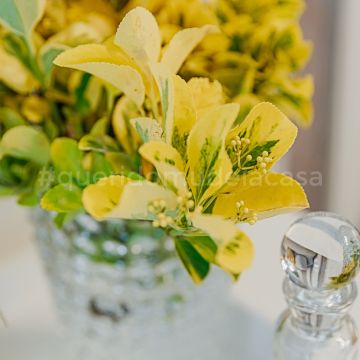 Rodolfo Galvão Home Stylist - Lisboa - Design de Interiores