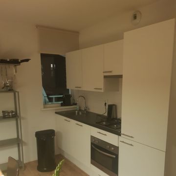 Valdineia - Lisboa - Grundstücksreinigung
