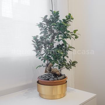 Rodolfo Galvão Home Stylist - Lisboa - Home Staging
