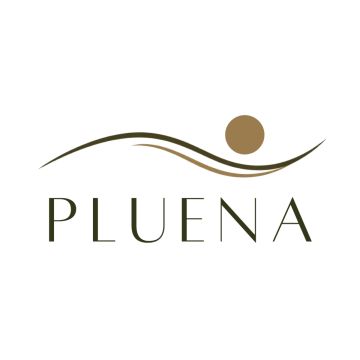 Pluena - Vila Nova de Famalicão - Unternehmensberatung