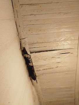 Telhados e Coberturas