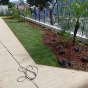 Rivaldo oliveira - Cascais - Shrub Removal