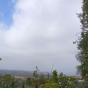 Rivaldo oliveira - Cascais - Tree Trimming and Maintenance