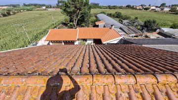 Tavares - Coimbra - Roofing