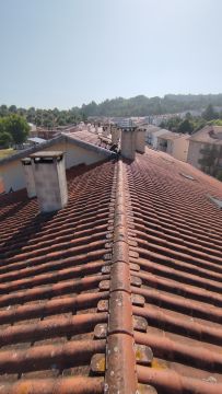 Tavares - Coimbra - Dachreinigung