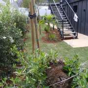Rivaldo oliveira - Cascais - Tree Stump Grinding and Removal