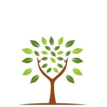Scottish Arborist - Figueira da Foz - Poda e Manutenção de Árvores