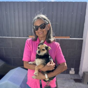 Neide Rodrigues Santos - Lisboa - Bains et toilettage pour animaux