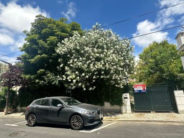 Jardinagem