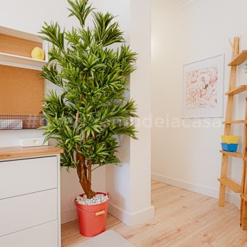 Rodolfo Galvão Home Stylist - Lisboa - Muralista