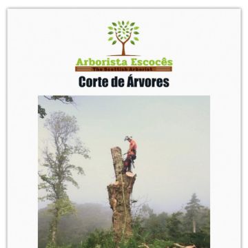 Scottish Arborist - Penacova - Enlèvement de souches d’arbres
